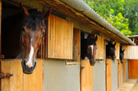 free Nant Y Gollen stable construction quotes